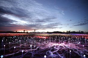 Field of Light am Ayers Rock