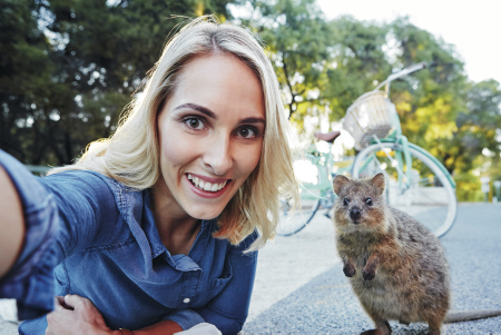 Frau macht Selfie mit Quokka auf Rottnest Island, Kurzschwanzkänguru, Western Australien